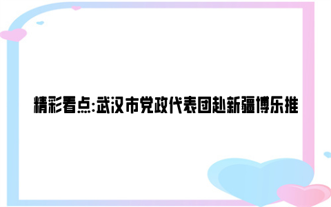 精彩看点:武汉市党政代表团赴新疆博乐推进对口支援工作：坚决扛牢政治责任 切实加大工作力度 推动对口支援交流协作迈上新台阶