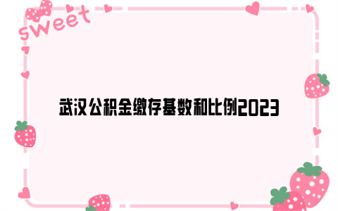 武汉公积金缴存基数和比例2023