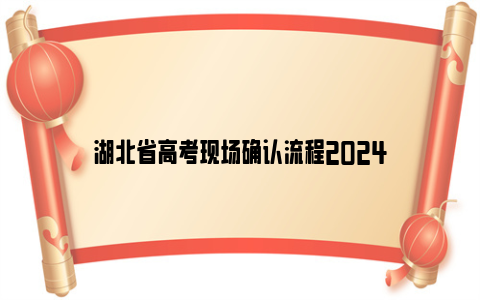 湖北省高考现场确认流程2024