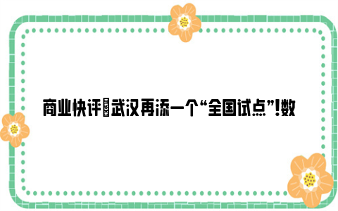 商业快评|武汉再添一个“全国试点”！数字化转型为中小企业赋能