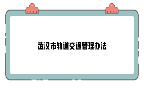 武汉市轨道交通管理办法
