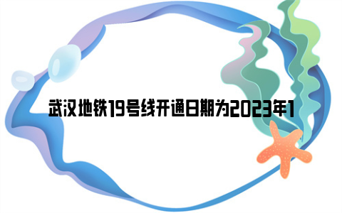 武汉地铁19号线开通日期为2023年12月30日（附运营时间+站点设置）