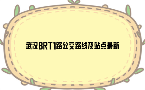 武汉BRT1路公交路线及站点最新