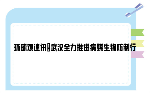 环球观速讯|武汉全力推进病媒生物防制行动