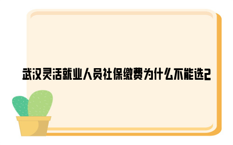 武汉灵活就业人员社保缴费为什么不能选2024年1月