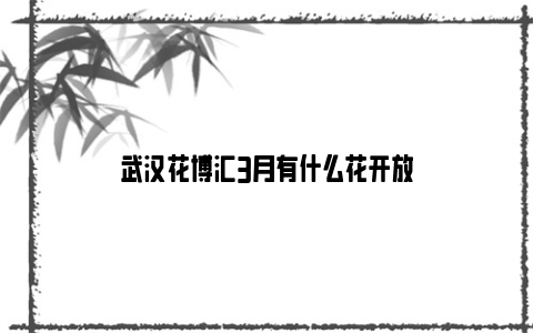 武汉花博汇3月有什么花开放