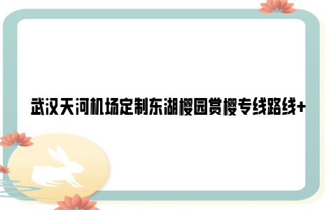 武汉天河机场定制东湖樱园赏樱专线路线+发车时间+票价