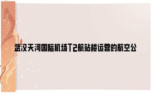 武汉天河国际机场T2航站楼运营的航空公司