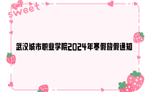 武汉城市职业学院2024年寒假放假通知