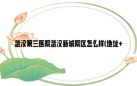 武汉第三医院武汉新城院区怎么样(地址+介绍+建成时间)