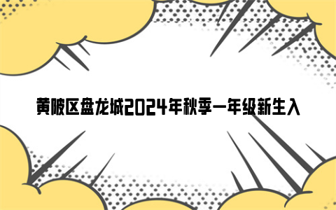 黄陂区盘龙城2024年秋季一年级新生入学线下补登公告