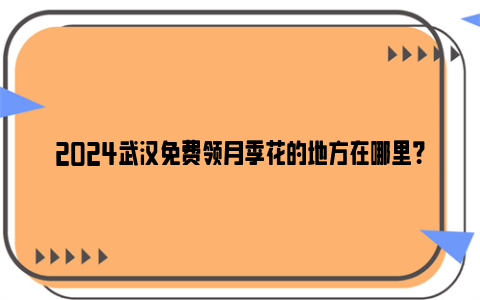 2024武汉免费领月季花的地方在哪里？