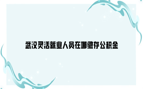 武汉灵活就业人员在哪缴存公积金