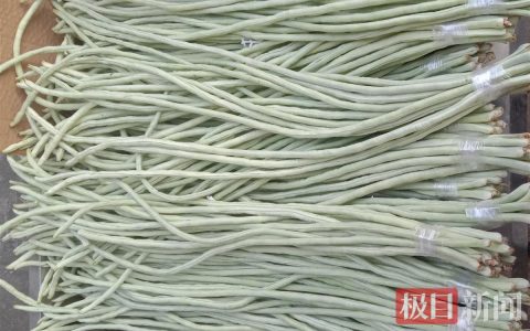 1200X900_pub_cb20240624173141972067_edit.jpg_9aa3a041569f4a518601cd0bfe68c37c