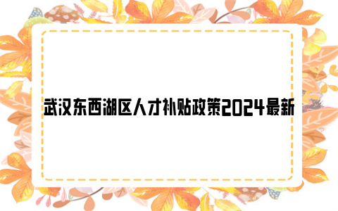 武汉东西湖区人才补贴政策2024最新