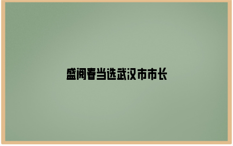 盛阅春当选武汉市市长