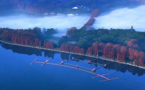 W020240430341021476525