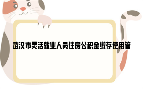 武汉市灵活就业人员住房公积金缴存使用管理办法(试行)