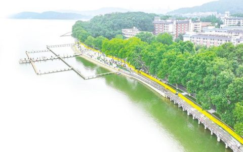 d8d38e35fd744171927148400513299510