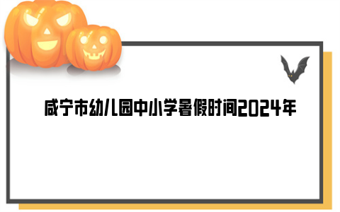 咸宁市幼儿园中小学暑假时间2024年
