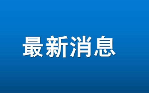 2024上海中小学生五子棋比赛时间和地点