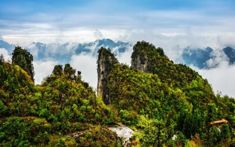 20220922180801_419156