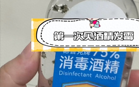 f8cf7e386287497e8e59ea99c066e2a4~noop