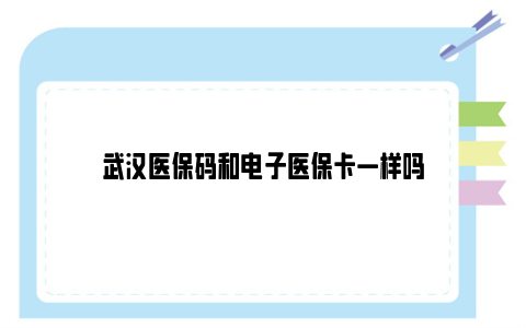 武汉医保码和电子医保卡一样吗