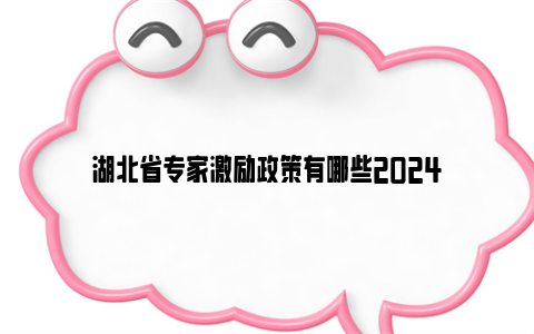 湖北省专家激励政策有哪些2024
