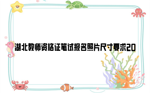 湖北教师资格证笔试报名照片尺寸要求2024