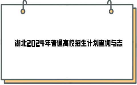 湖北2024年普通高校招生计划查询与志愿填报辅助系统操作指南