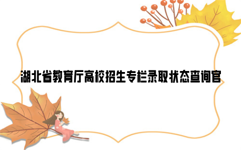 湖北省教育厅高校招生专栏录取状态查询官网2024