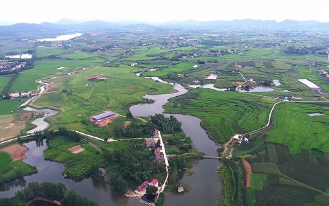 W020210830584400364142