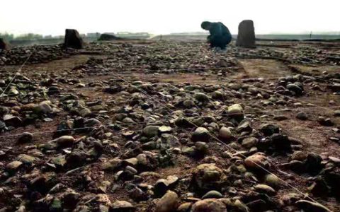 W020210830592651762969