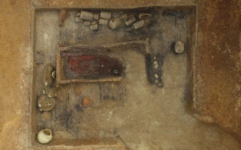 W020220325568580867153