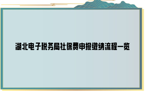 湖北电子税务局社保费申报缴纳流程一览
