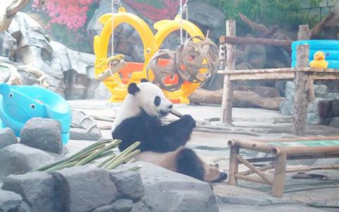 aafa68e9-02cd-4755-ac46-3eccdf0a6c3d