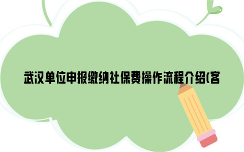 武汉单位申报缴纳社保费操作流程介绍(客户端)