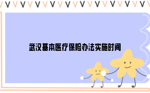 武汉基本医疗保险办法实施时间
