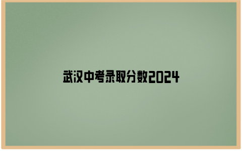 武汉中考录取分数2024