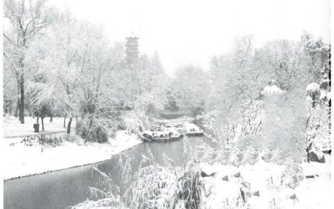 曾可馨:伴我长大的解放公园