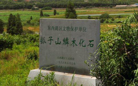 W020230829509996389670