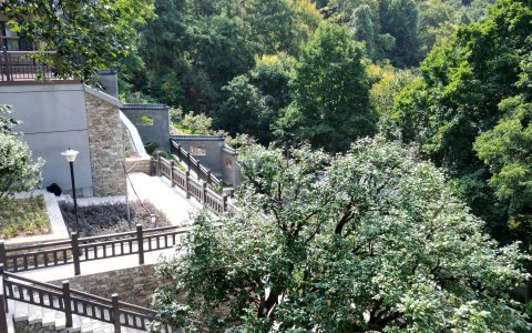 W020240906309491742790