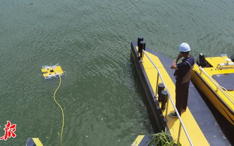 W020240906311278146915