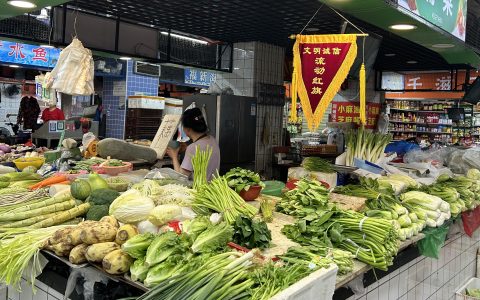 W020240908618577150401