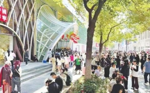 W020240910317566651255