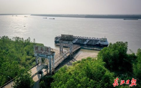“出海口”搬到“家门口” 武汉汽车出海将有近道
