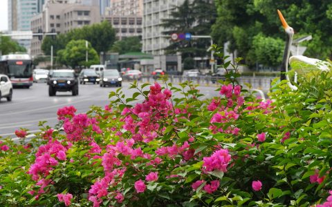 W020240912659905198064