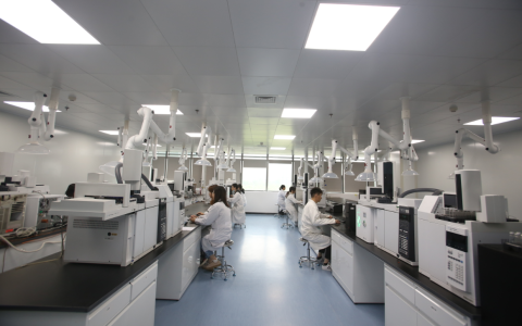 W020240913341802458300