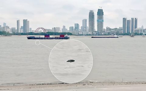 W020240917461610795480